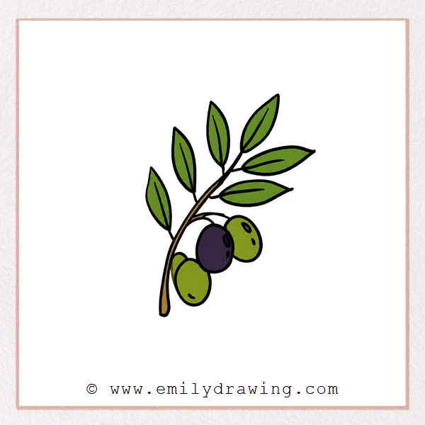 Preview of Olive Branch drawing
